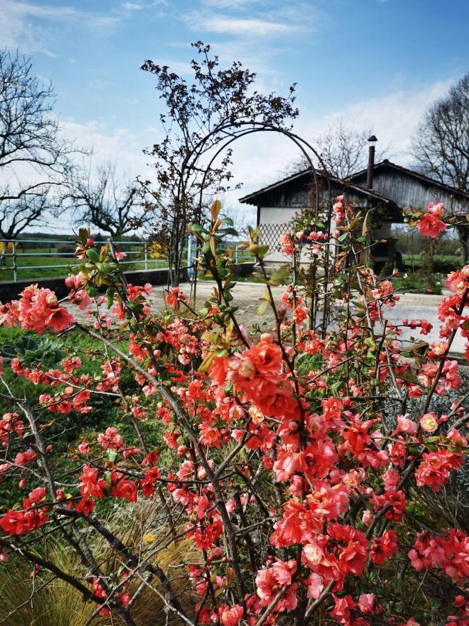 Domaine De L'Esperance, Chambre Rose Bed & Breakfast Bersaillin Ngoại thất bức ảnh